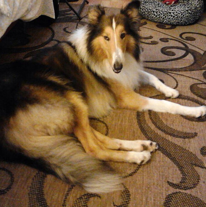 Kaden - photo 3