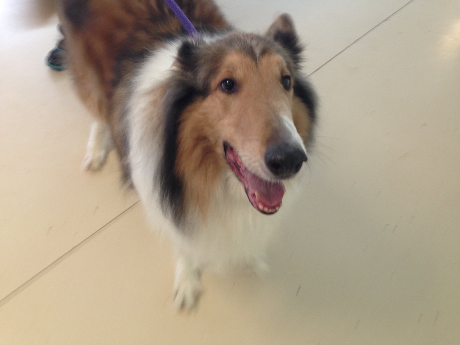 Max - photo 3