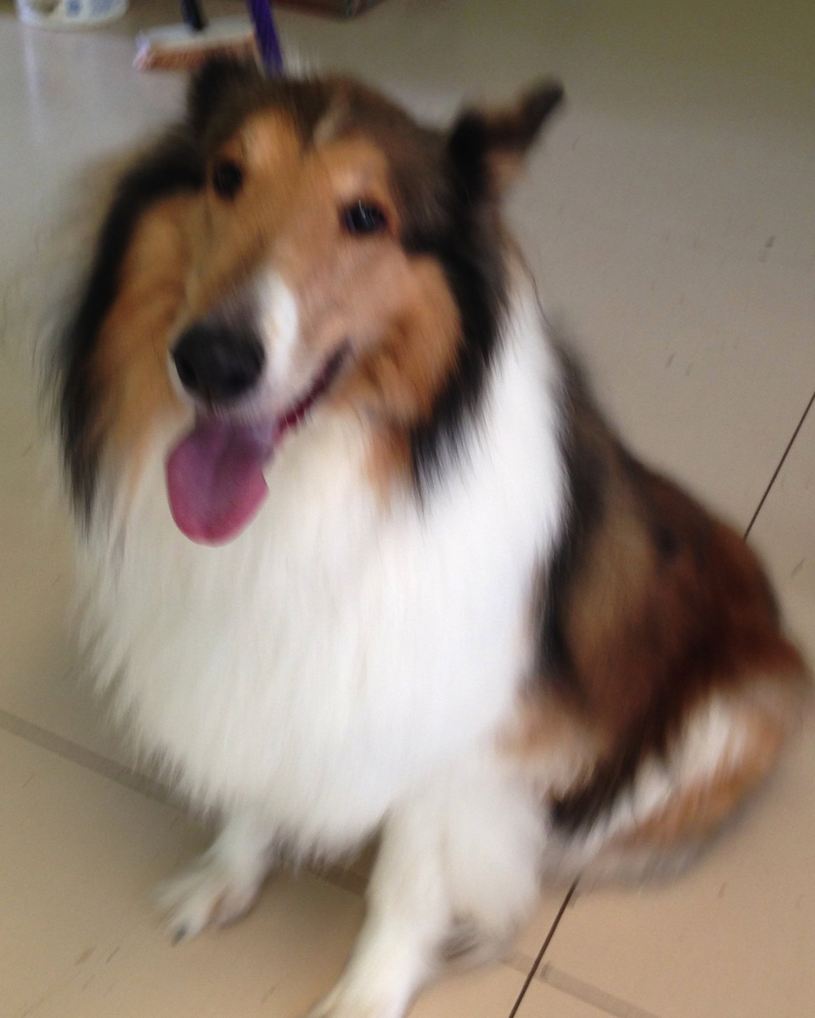 Max - photo 2