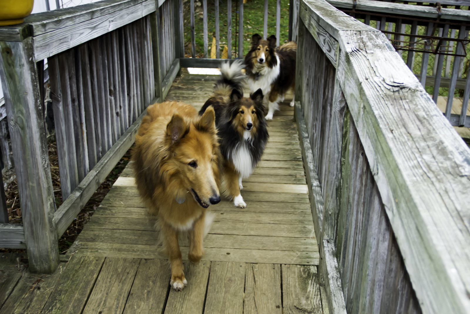 August - photo 4