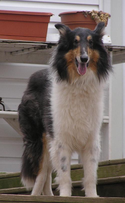 Ben - photo 3