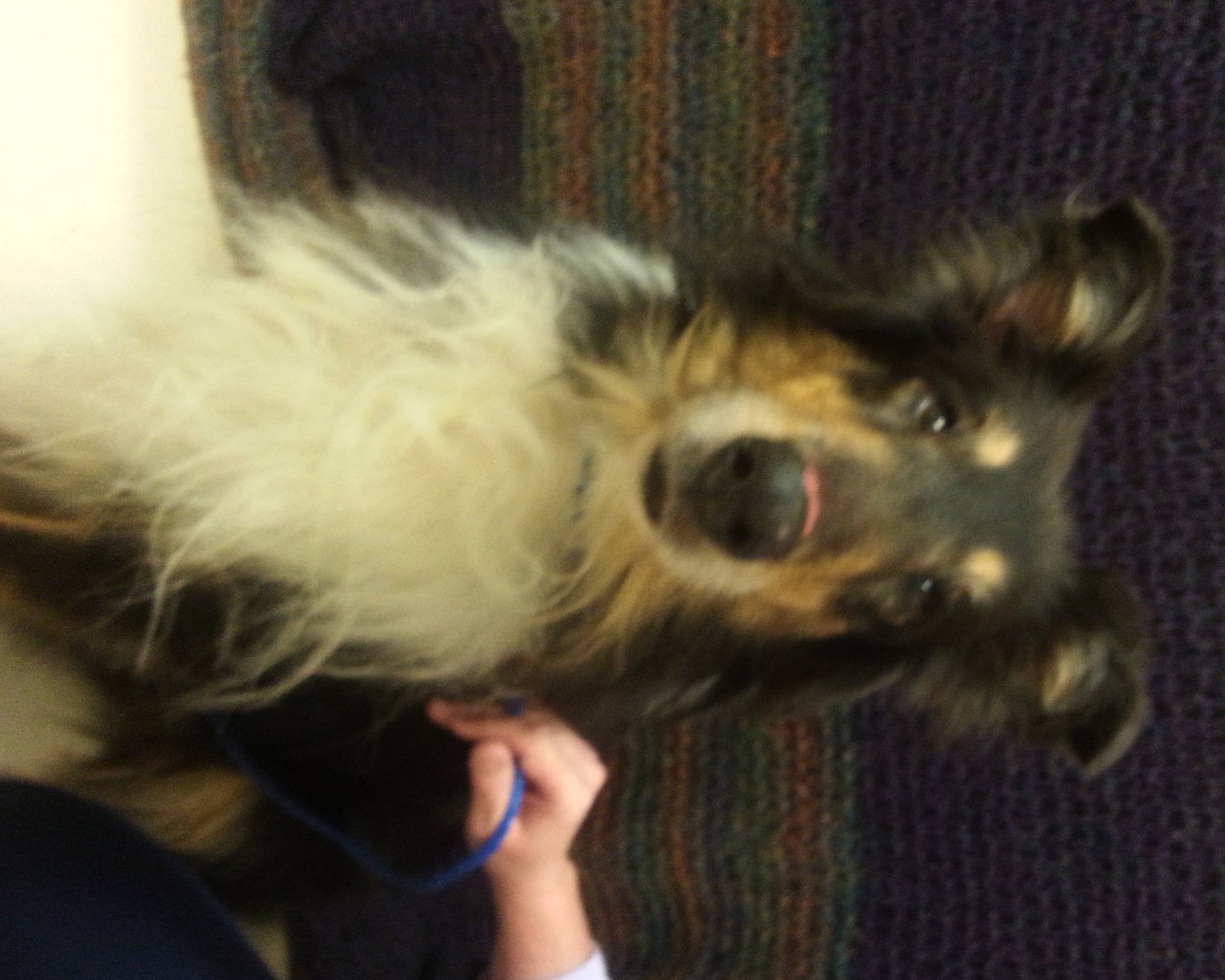 Senior Care Program - Katie - photo 2