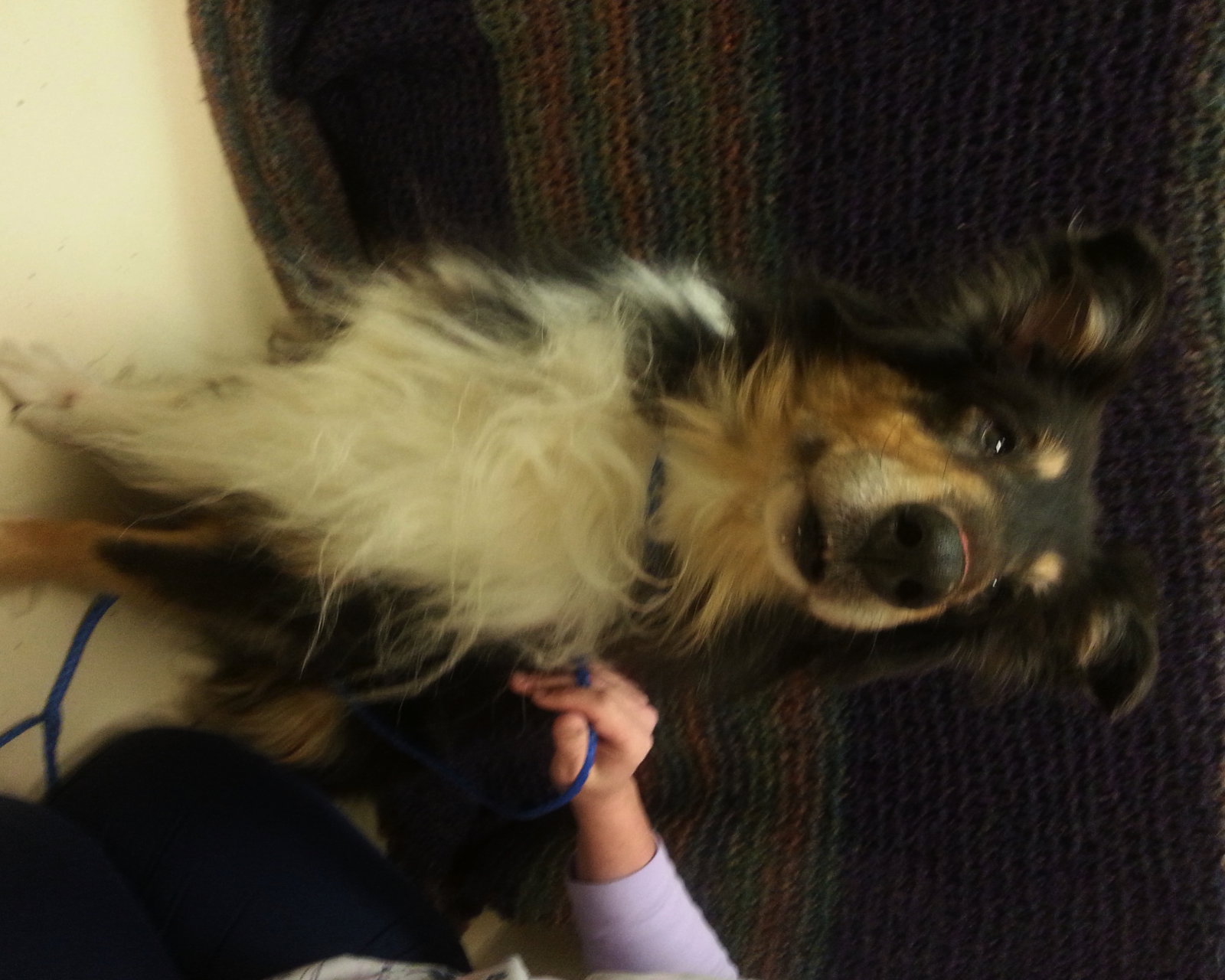 Senior Care Program - Katie - photo 3