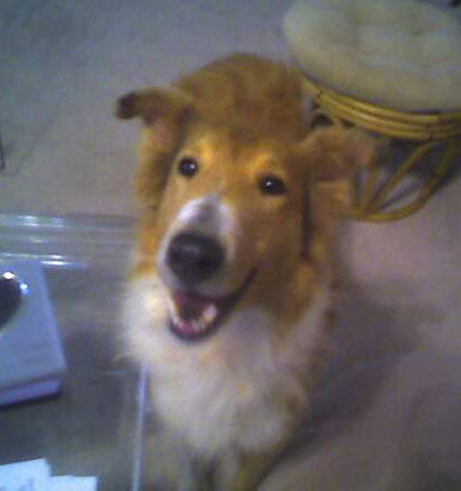 Hannah - photo 3