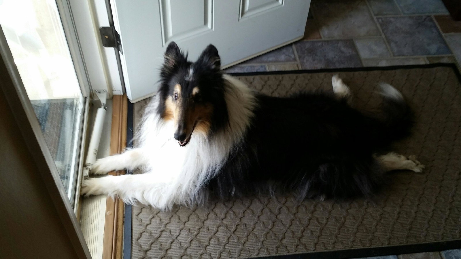 Landon - photo 4
