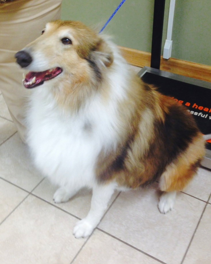 Macie - photo 3