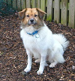 Bo Bo Baggins - photo 2