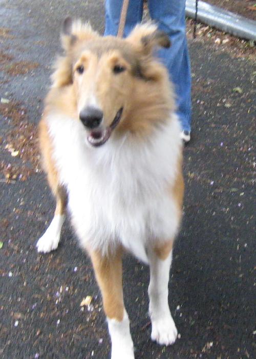 Sandy - photo 3
