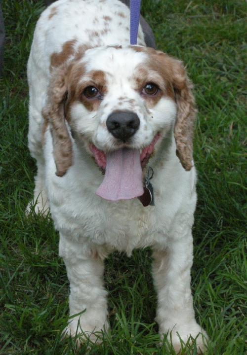 Rudy - photo 4