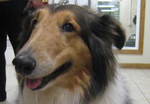 Annie - photo 3