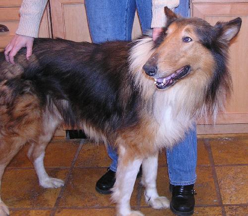 Griffin - photo 3