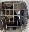 adoptable Cat in naples, FL named TWIX