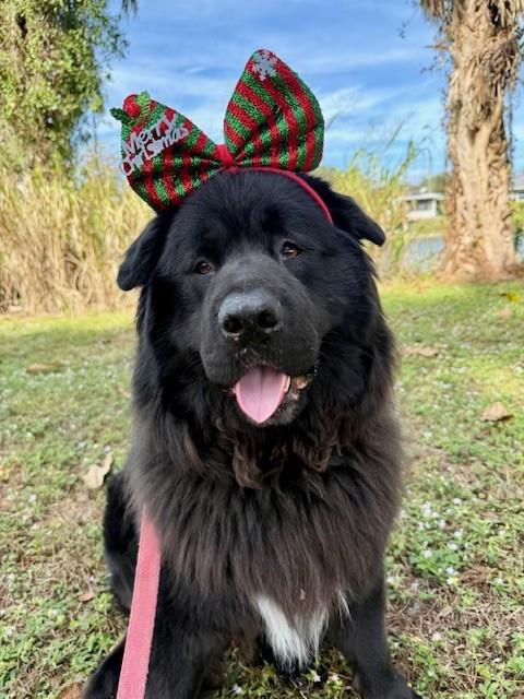 OSO