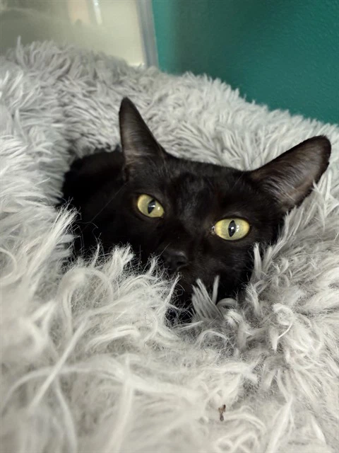 Tina