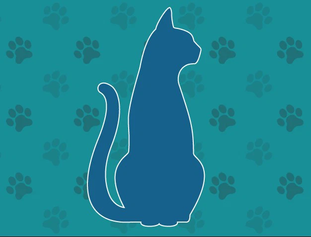 Unknown