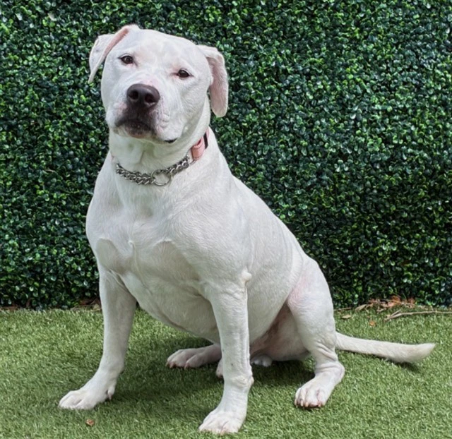 Zeus