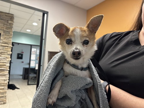 PACO