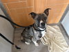 LUCKY - Photo 1