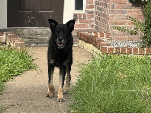 DRAKO