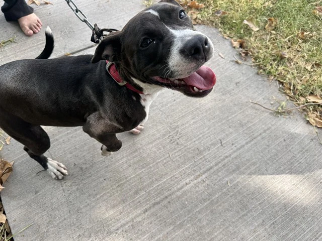Suzie
