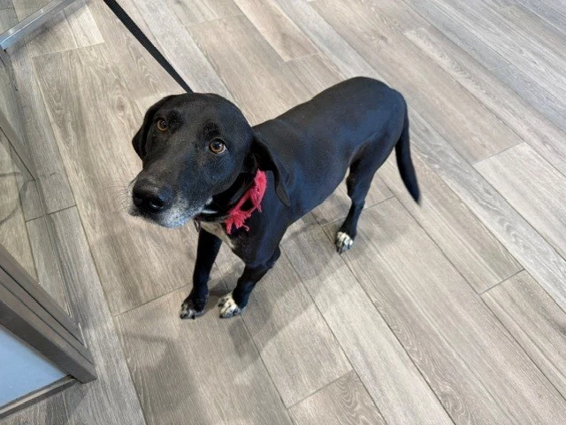 Coco