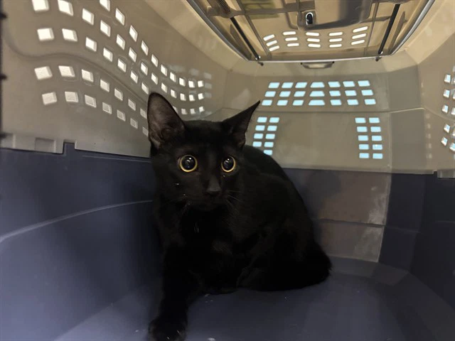 Hill