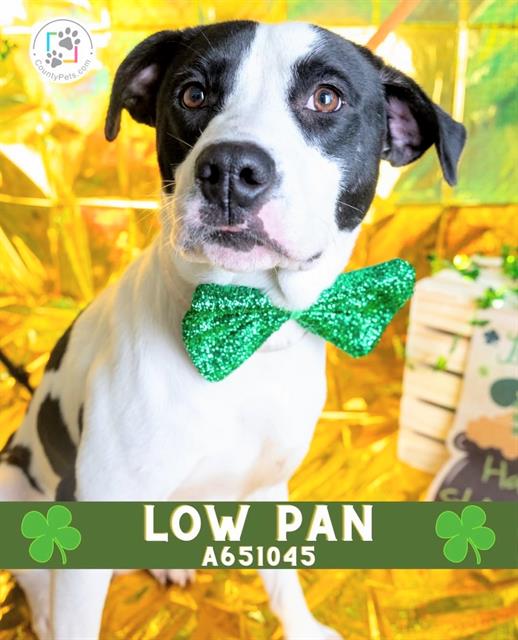 Lo-pan