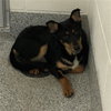 NENA - Photo 1