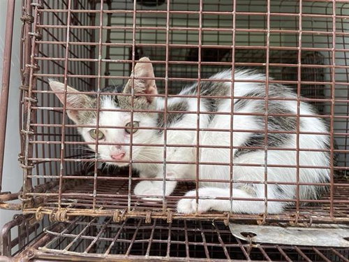A657775