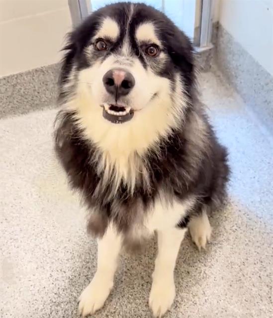ATKA