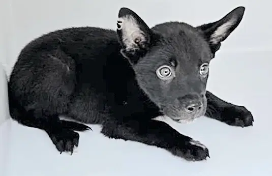 Unknown image 1
