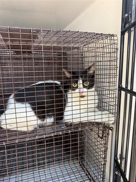 Unknown