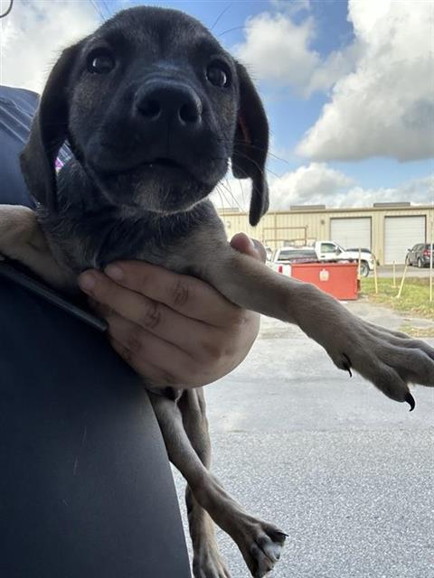 Unknown