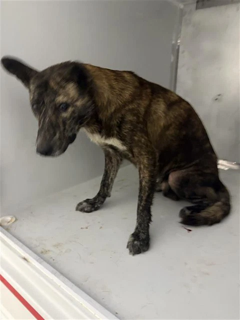 Unknown