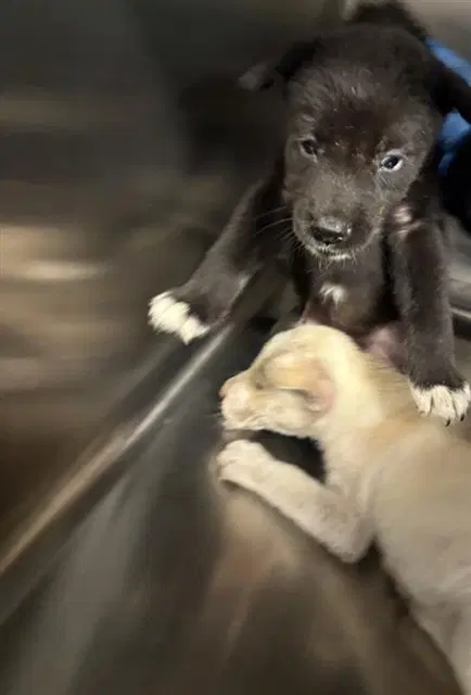 Unknown image 1