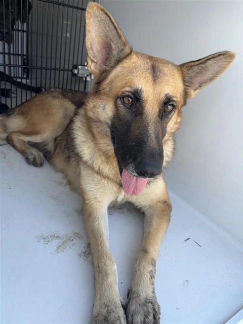 Max
