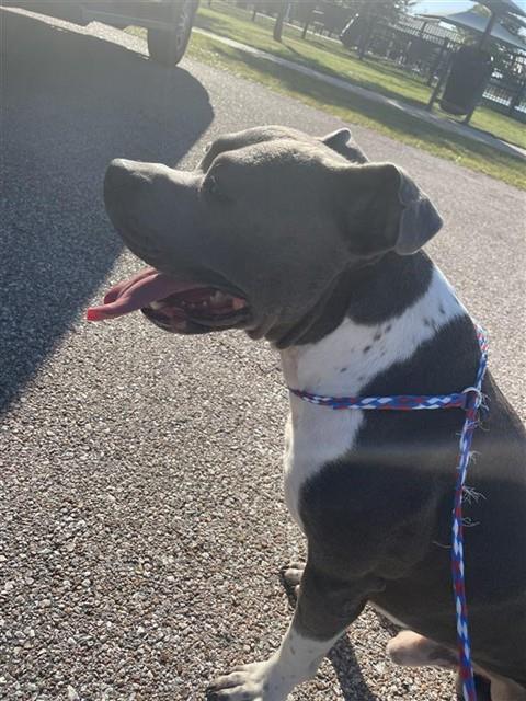 Max