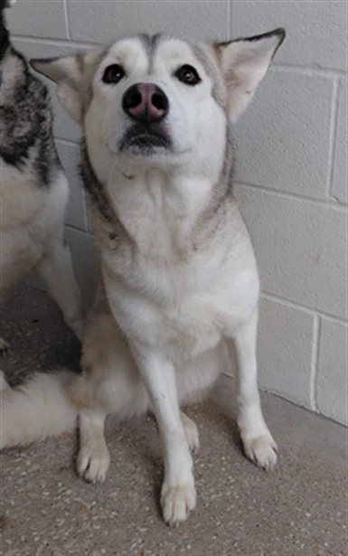 Max