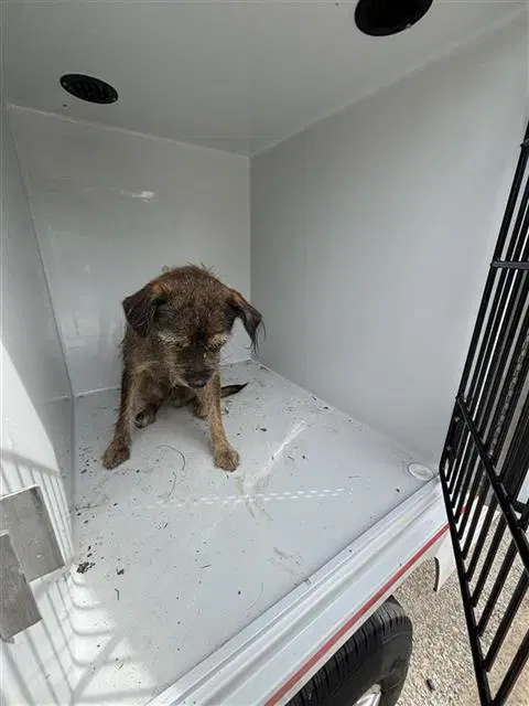 Max image 1