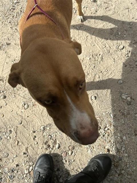 Max