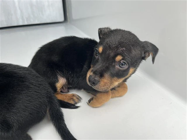 Unknown