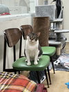 Maro - Photo 3