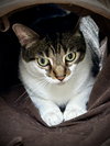 Maro - Photo 4