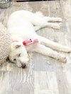 Morris-pending - Photo 2