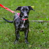 Lexi - Photo 3