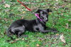 Lexi - Photo 4