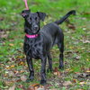 Lily - Photo 2