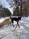 Bailey-pending - Photo 2