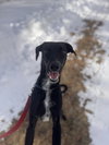 Bailey-pending - Photo 4