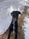Bailey-pending - Photo 1